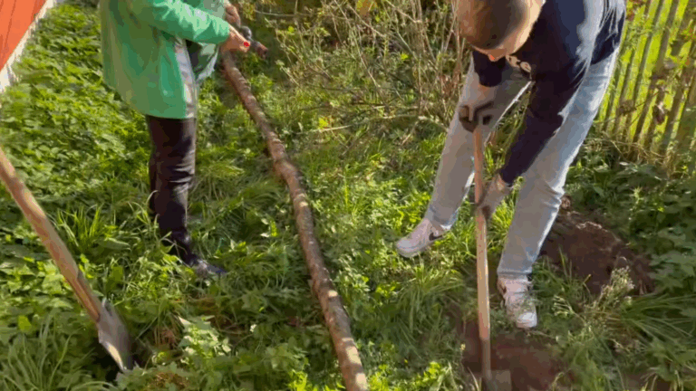 Alpener Grüne beteiligen sich an der Baumpflanz-Challenge
